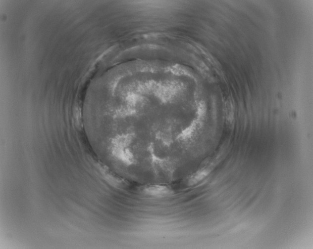 X0000078300669200611251510