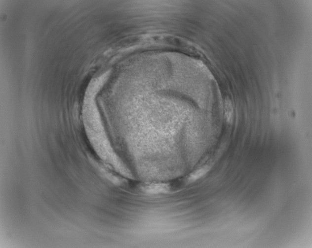 X0000078300670200611251510