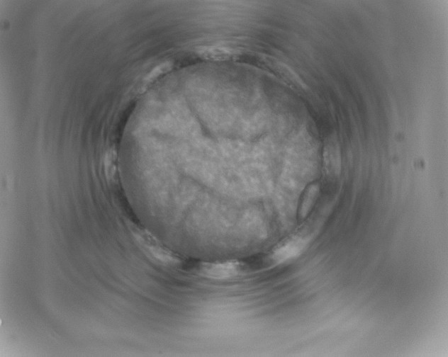 X0000078300671200611251510