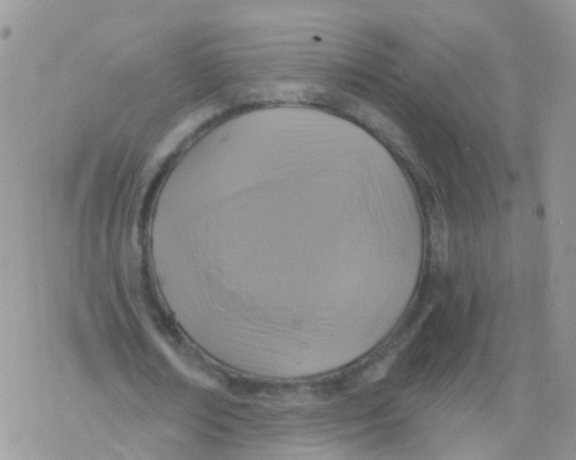 X0000078300674200611251509