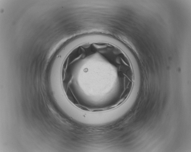 X0000078300676200611251509