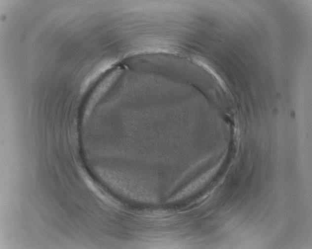 X0000078300677200611251509