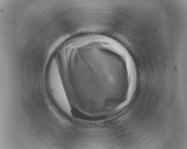 X0000078300678200611251509