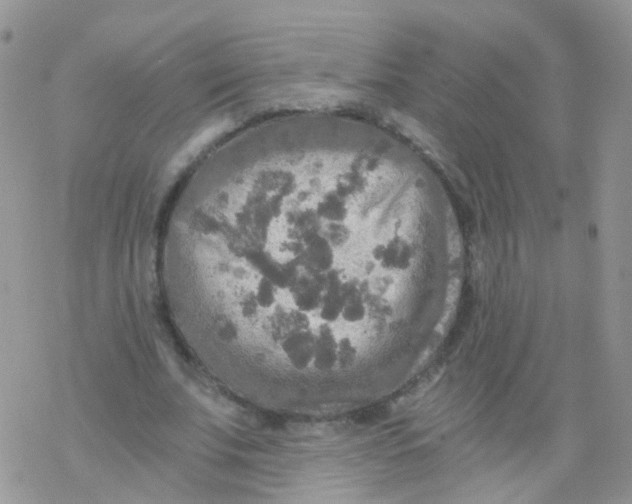 X0000078300679200611251509