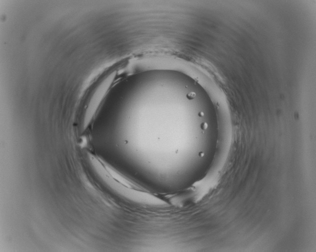 X0000078300680200611251509