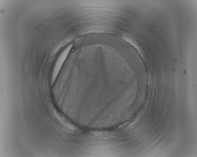 X0000078300681200611251509