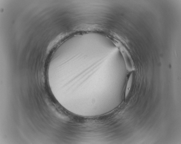 X0000078300682200611251509