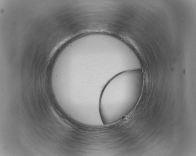 X0000078300684200611251509