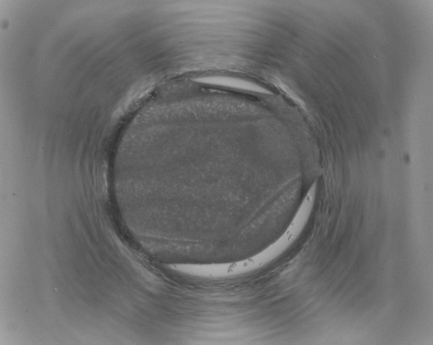 X0000078300685200611251509