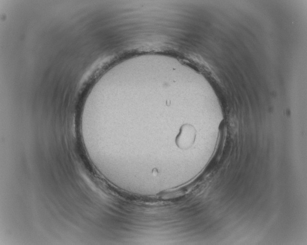 X0000078300686200611251509