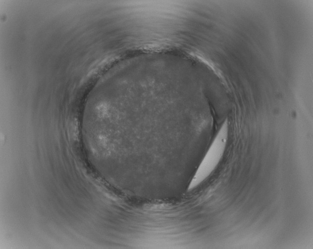 X0000078300689200611251509