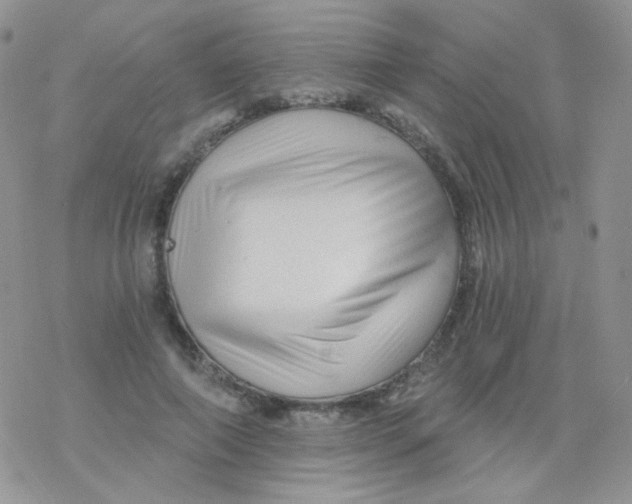 X0000078300690200611251509