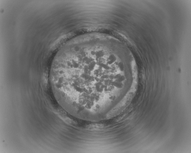 X0000078300691200611251509