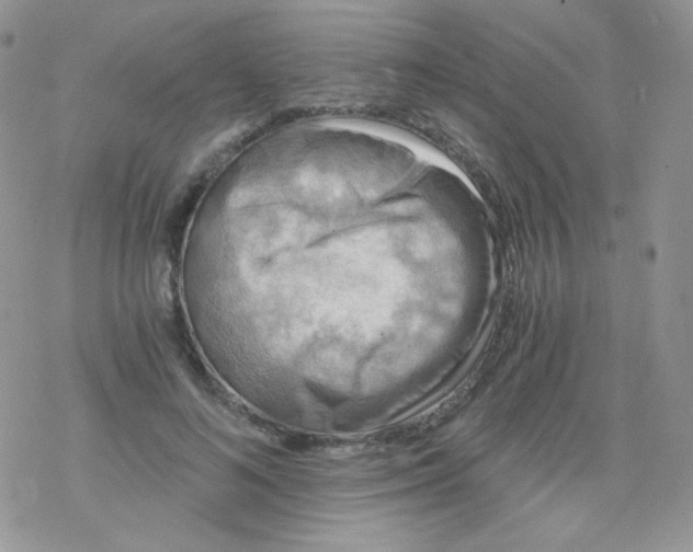 X0000078300692200611251509