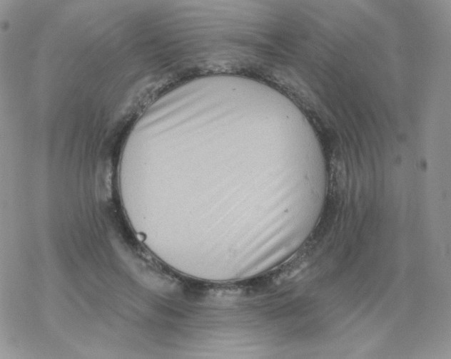 X0000078300694200611251509