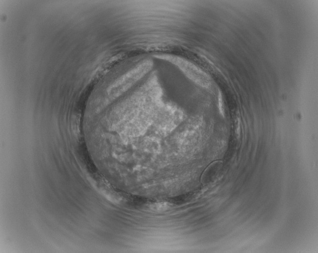 X0000078300695200611251509