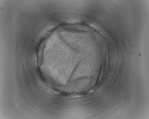 X0000078300696200611251509