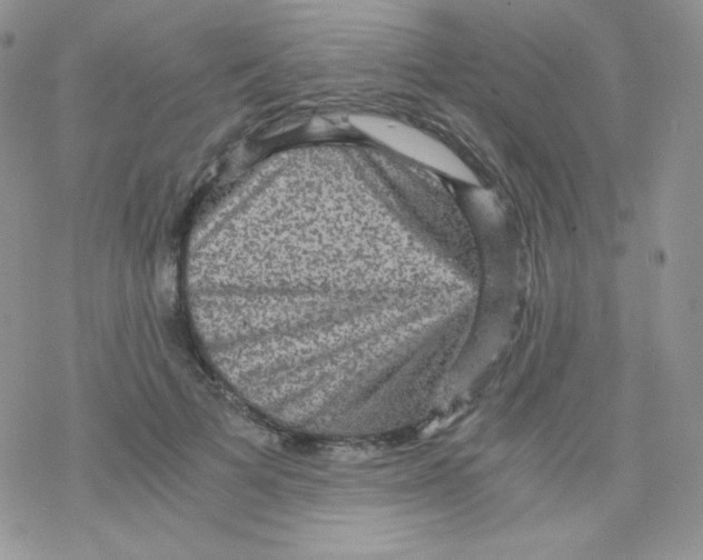 X0000078300697200611251509