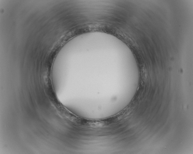 X0000078300698200611251509