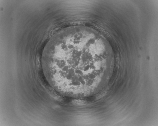 X0000078300699200611251509