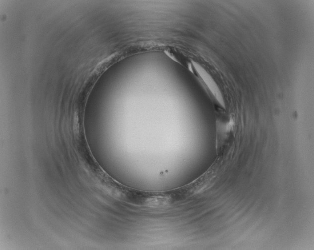 X0000078300700200611251509