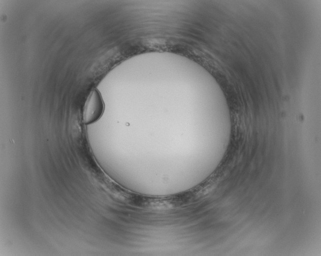 X0000078300702200611251509