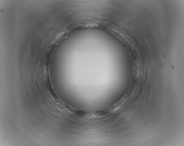 X0000078300704200611251509