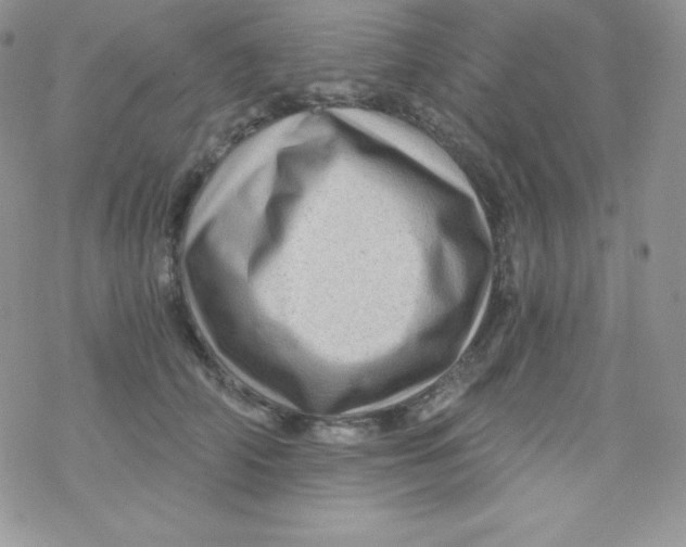 X0000078300706200611251509