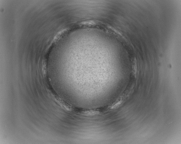 X0000078300708200611251509