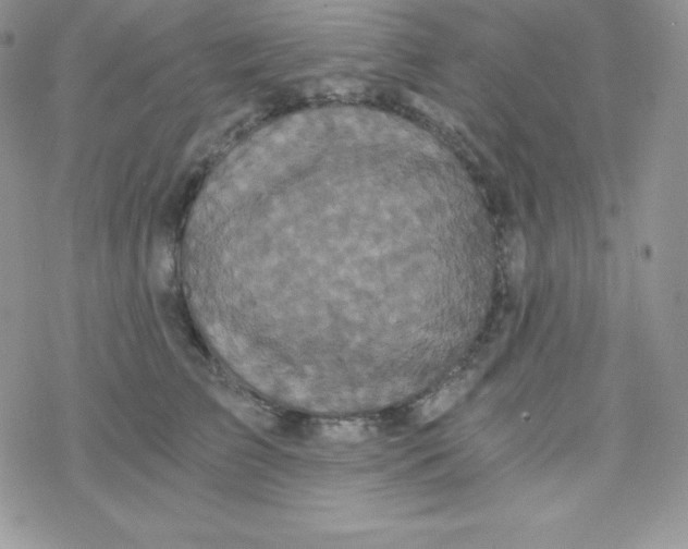 X0000078300709200611251508