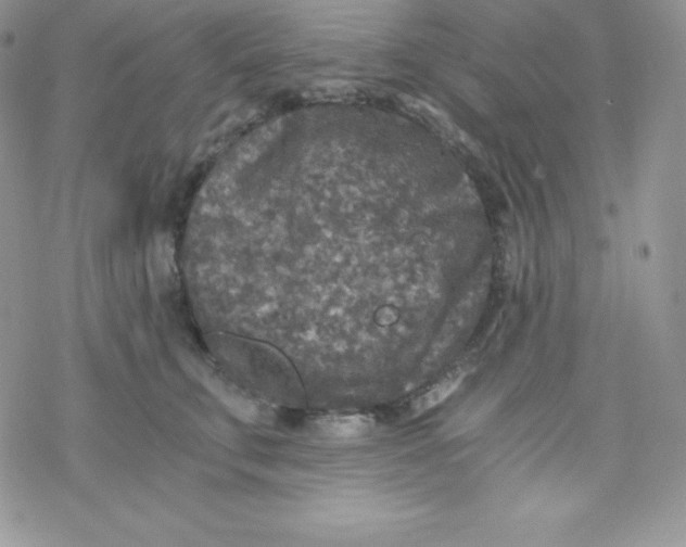 X0000078300711200611251508