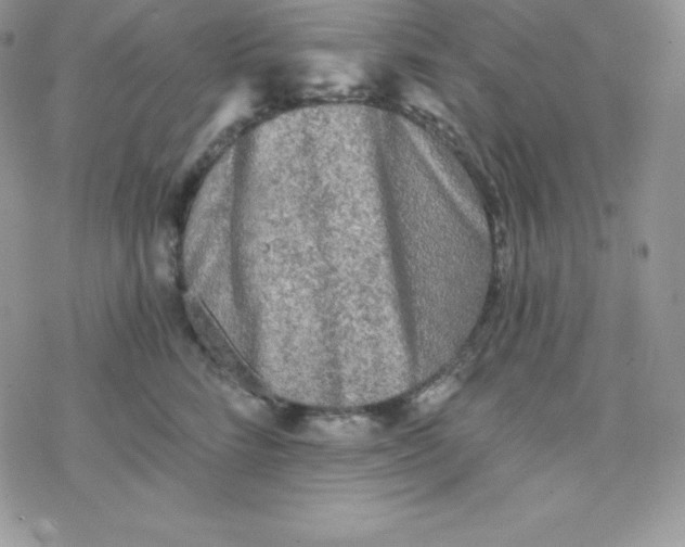 X0000078300712200611251508