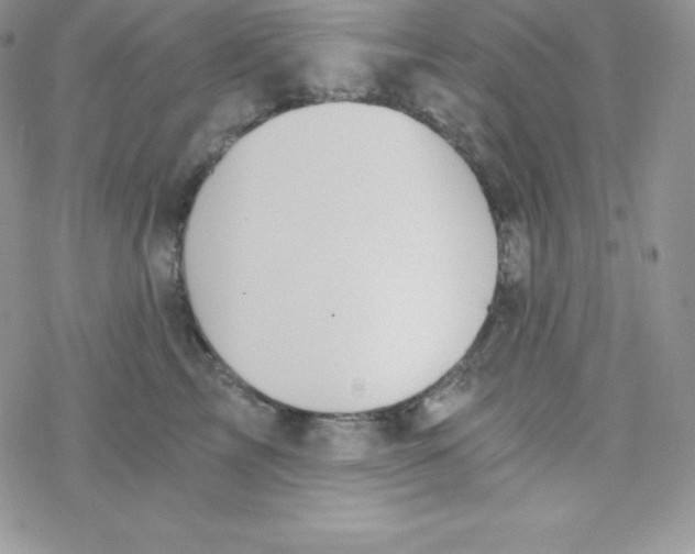 X0000078300713200611251508