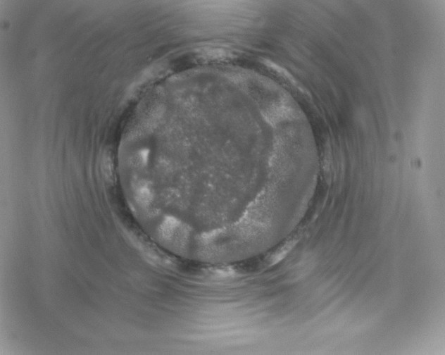 X0000078300715200611251508