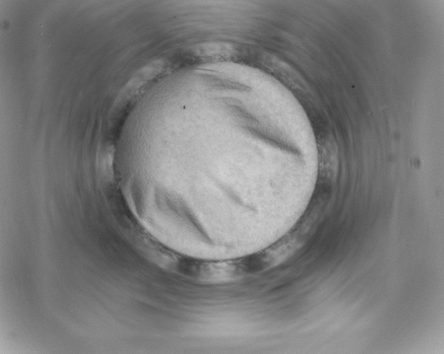 X0000078300717200611251508