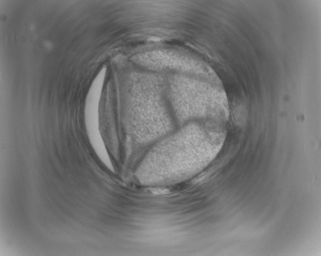 X0000078300719200611251508