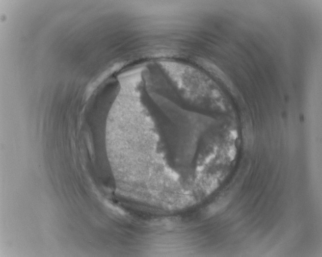 X0000078300721200611251508