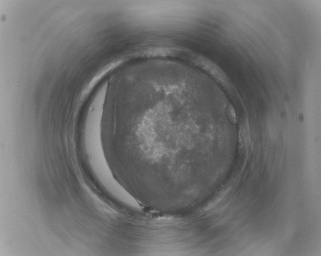 X0000078300722200611251508