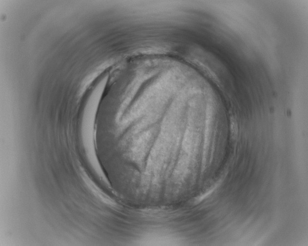 X0000078300725200611251508