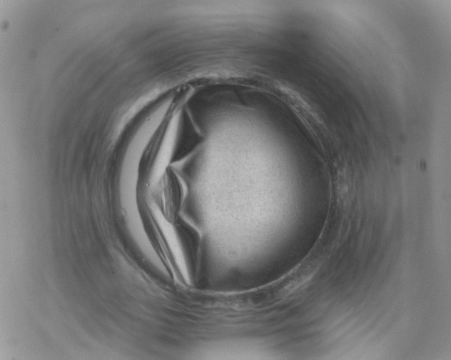 X0000078300727200611251508