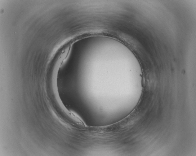 X0000078300728200611251508