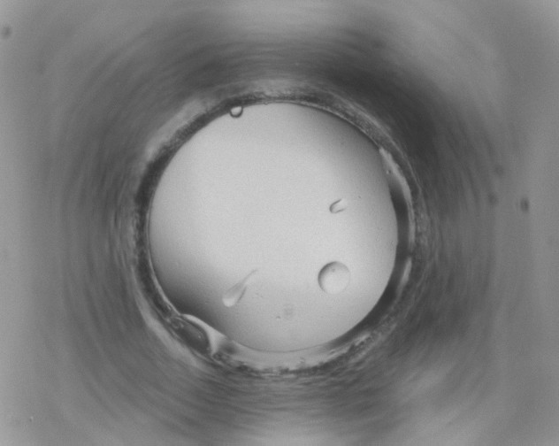 X0000078300730200611251508