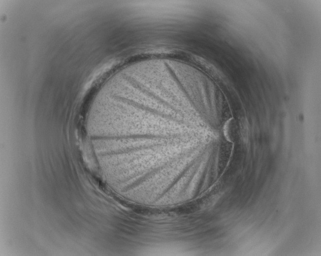 X0000078300731200611251508