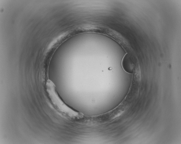 X0000078300732200611251508