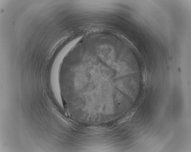 X0000078300733200611251508