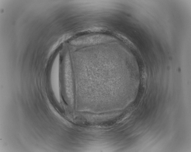 X0000078300734200611251508