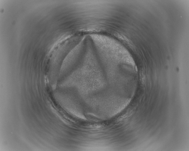 X0000078300735200611251508