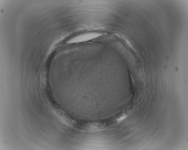 X0000078300736200611251508