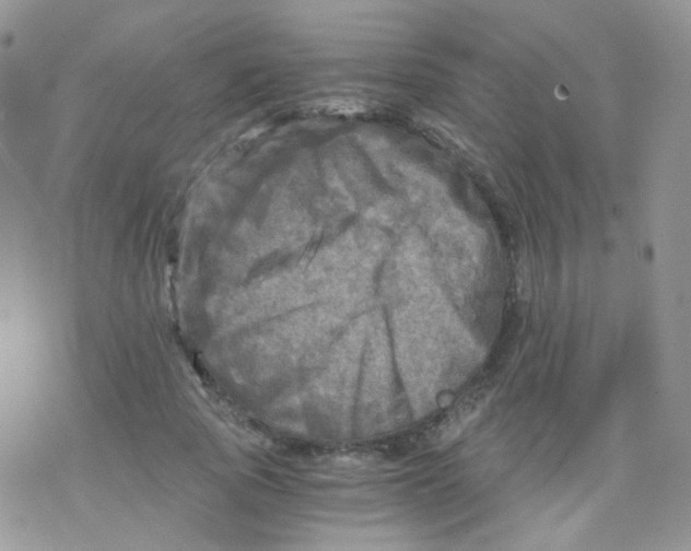 X0000078300737200611251508