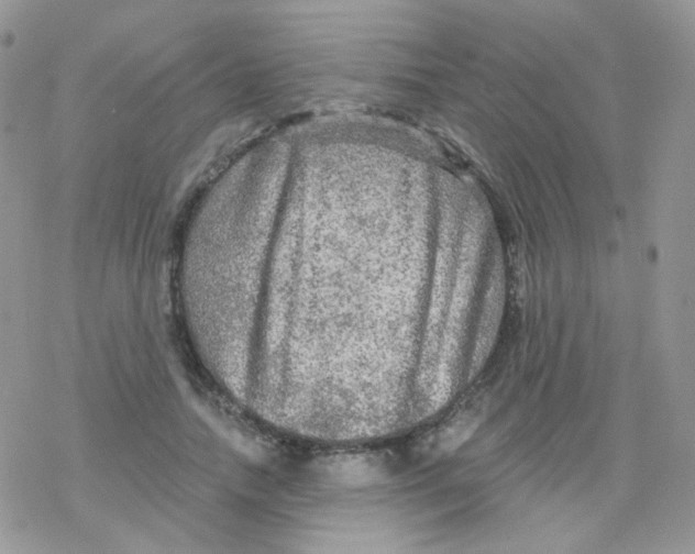 X0000078300738200611251508